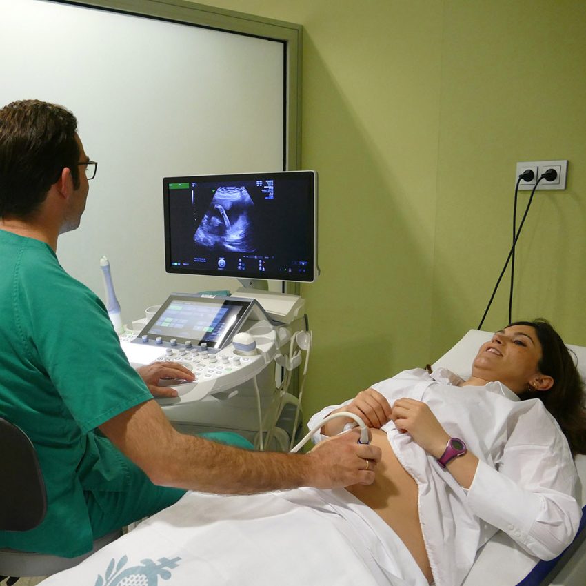 Embarazo y maternidad