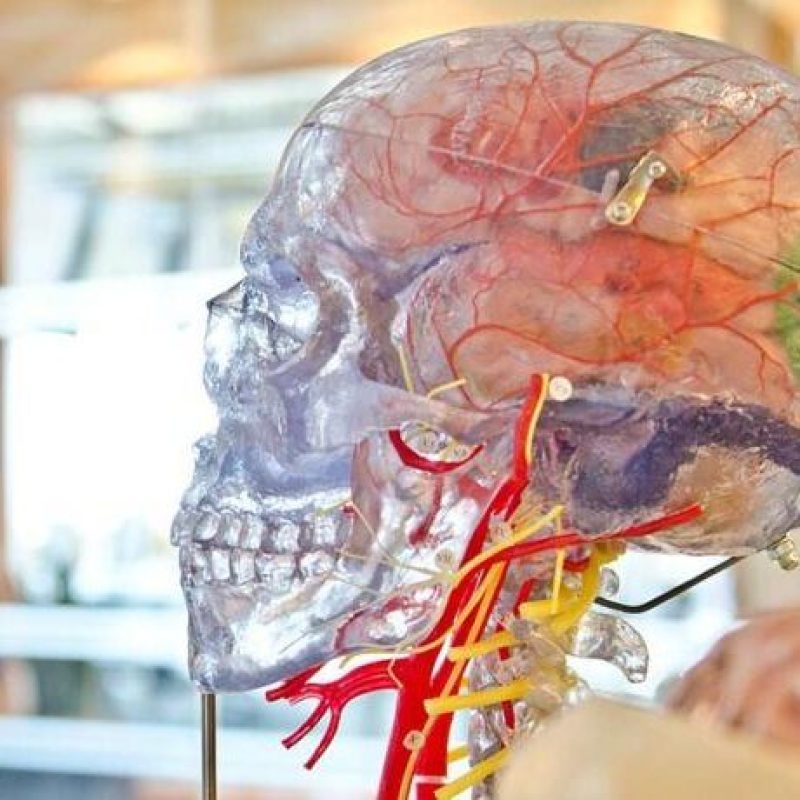 Cirujano maxilofacial en en Córdoba